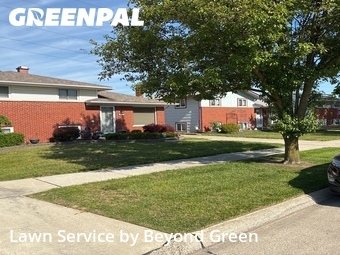 Grass Cut nearby Taylor, MI, 