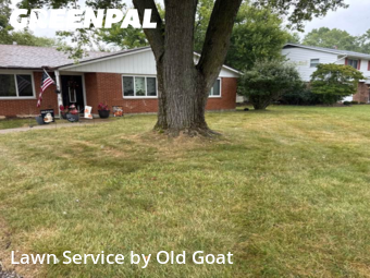 Lawn Maintenance nearby Dayton, OH, 