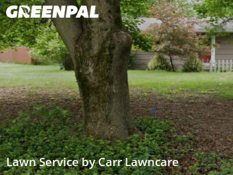 Lawn Mowing Service nearby Pittsford, NY, 