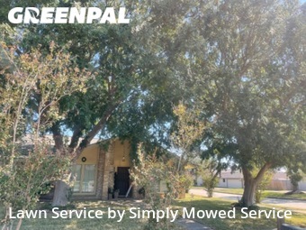 Yard Mowing nearby Missouri City, TX, 
