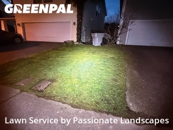 Lawn mowed in Renton, 98058