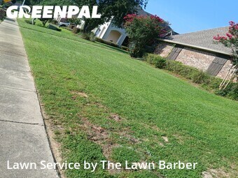 Grass Cut nearby Biloxi, MS, 