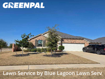 Lawn Mowing Servicein Rosenberg,77471,Lawn Cutting by Blue Lagoon Lawn Serv, work completed in Feb , 2026