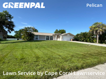 Lawn Service nearby Cape Coral, FL, 