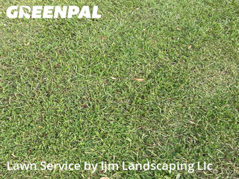 Lawn Mowing Service nearby Kissimmee, FL, 