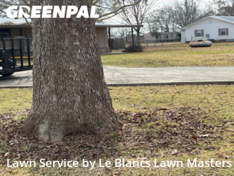 Lawn Cut nearby Saint Martinville, LA, 