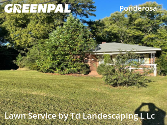 Yard Mowing nearby Charlotte, NC, 