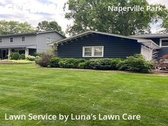 Grass Cutting nearby Naperville, IL, 