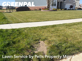 Yard Mowing nearby Ann Arbor, MI, 