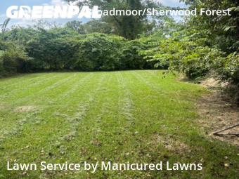 Lawn Cutting nearby Baton Rouge, LA, 