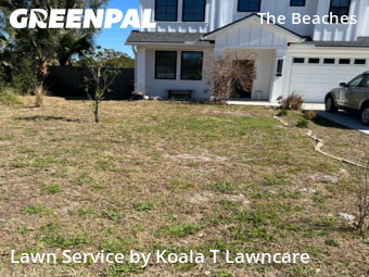 Grass Cutin Jacksonville Beach,32250,Lawn Maintenance by Koala T Lawncare, work completed in Jul , 2026