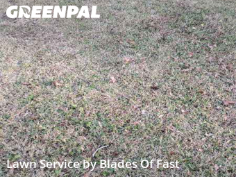 Yard Maintenance in Decatur, 30032, Weed Trimming by Blades Of Fast, work completed in Dec , 2025