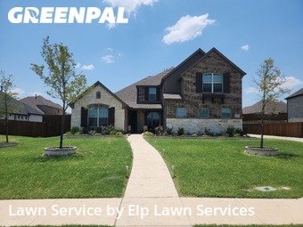 Grass Cut nearby Sunnyvale, TX, 