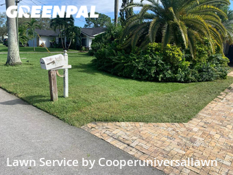 Grass Cut nearby Plantation, FL, 