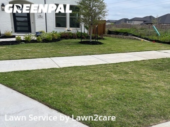 Grass Cut nearby Frisco, TX, 