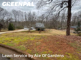 Lawn Cuttingin Roswell,30076,Lawn Maintenance by Ace Of Gardens, work completed in Jan , 2026
