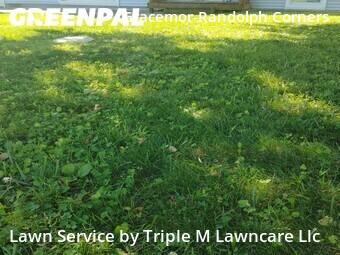 Lawn Maintenance nearby Kansas City, MO, 