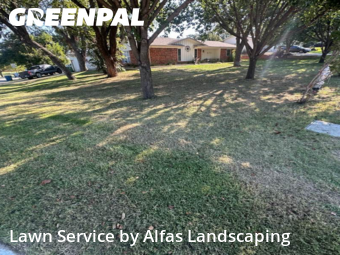 Lawn Servicein Lewisville,75057,Yard Cutting by Alfas Landscaping, work completed in Nov , 2025
