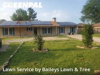 Lawn Cut nearby Tyler, TX, 