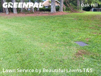 Lawn Service nearby Covington, GA, 