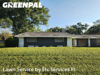 Lawn Care nearby Tampa, FL, 