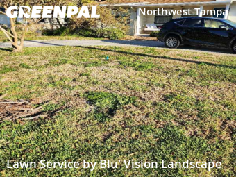 Lawn Care nearby Tampa, FL, 