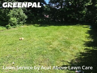Lawn Cutting nearby Pittsburgh, PA, 