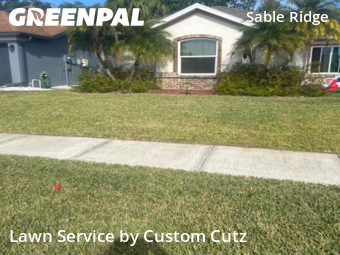 Grass Cut nearby Land O' Lakes, FL, 