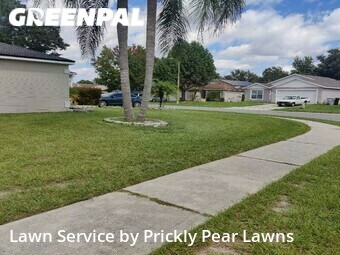 Grass Cutting nearby Apopka, FL, 