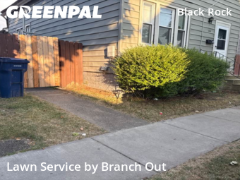 Grass Cutting nearby Buffalo, NY, 