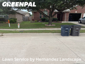 Grass Cut nearby Fort Worth, TX, 