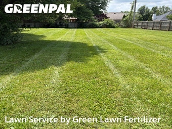 Yard Mowing nearby Springfield, MO, 