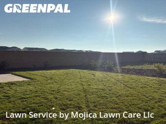 Work completed by the-yard-cutting-businesses-in-Elk Grove-CA