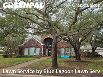 Lawn Care Servicein Houston,77094,Lawn Mowing by Blue Lagoon Lawn Serv, work completed in Dec , 2025