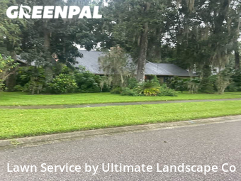 Grass Cutting nearby Brandon, FL, 