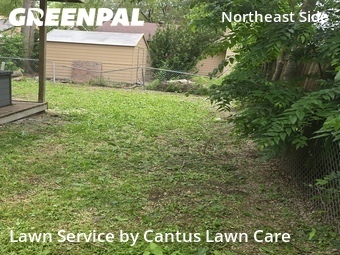 Lawn Care nearby San Antonio, TX, 