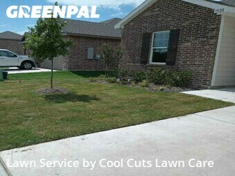 Lawn Cut nearby Haslet, TX, 