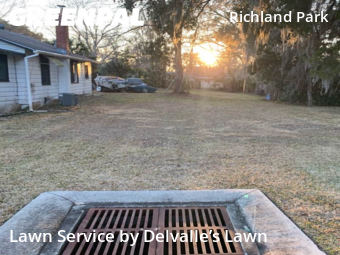 Grass Cut nearby Daytona Beach, FL, 