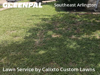 Lawn Cut nearby Arlington, TX, 