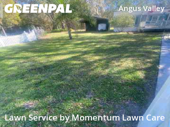 Grass Cut nearby Wesley Chapel, FL, 