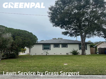 Grass Cut nearby St. Petersburg, FL, 