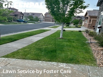 Yard Cutting nearby Broomfield, CO, 