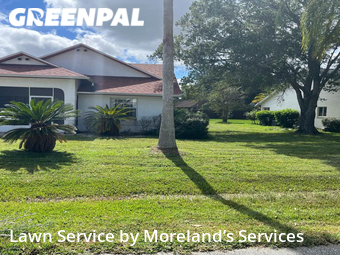 Lawn Cutting nearby Palm Coast, FL, 
