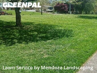 Yard Cutting nearby Winston Salem, NC, 