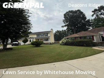 Grass Cutting nearby Wake Forest, NC, 