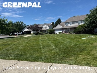 Lawn Care nearby Lockport, IL, 