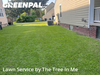 Lawn Mow nearby Jacksonville, NC, 