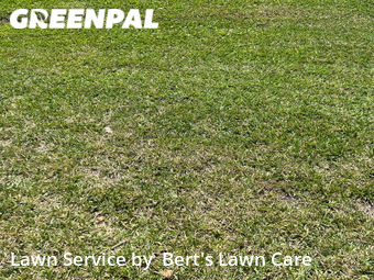 Grass Cut nearby Margate, FL, 