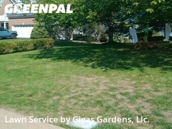 Lawn Cutting nearby Leesburg, VA, 