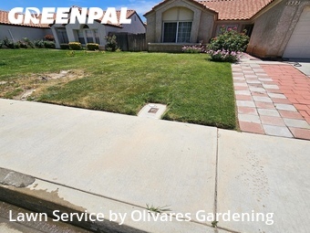 Lawn Mow nearby Palmdale, CA, 